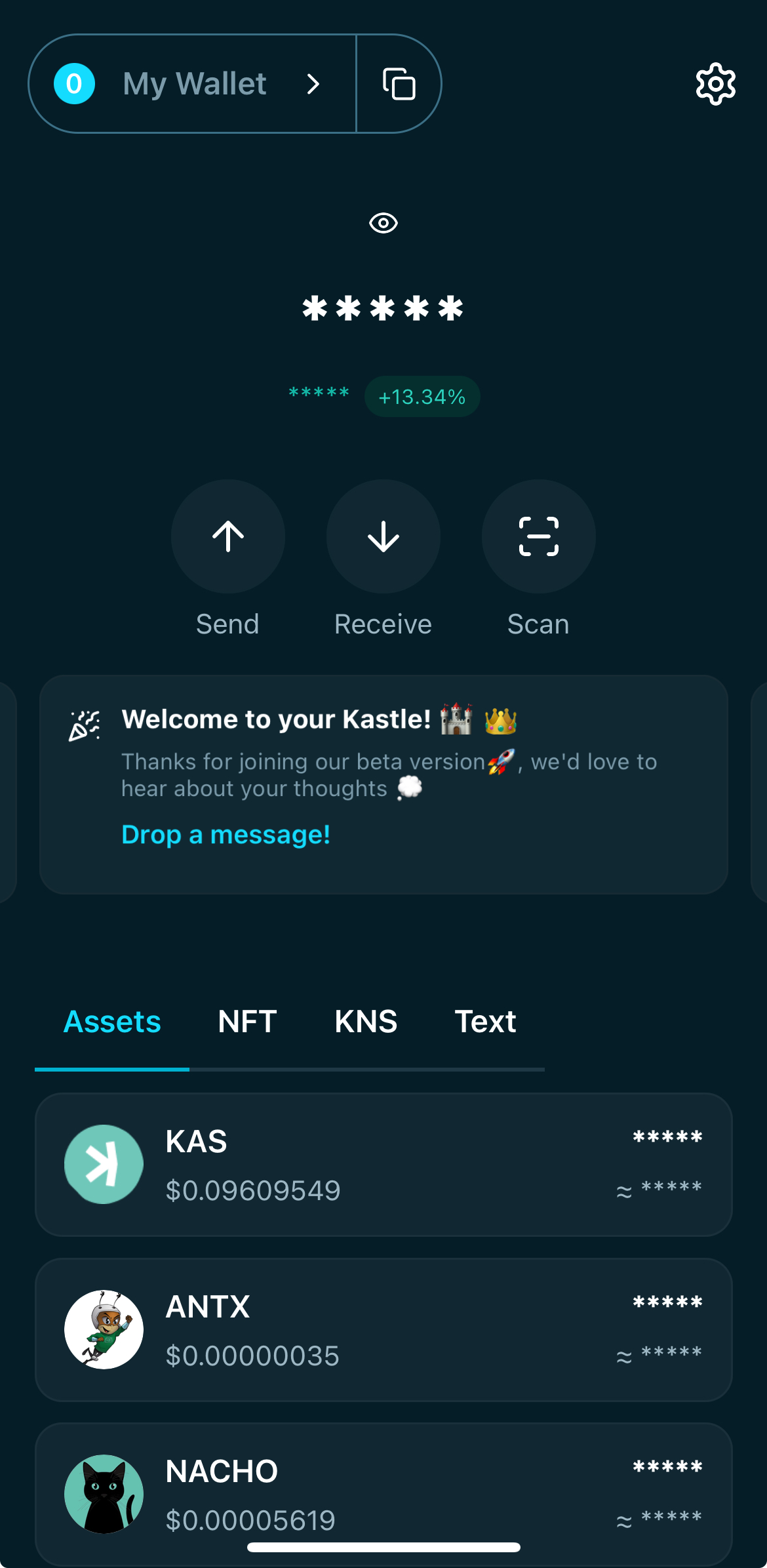 The main dashboard shows masked total balance, 24-hour change, and a visibility toggle. The user can view or hide balances.