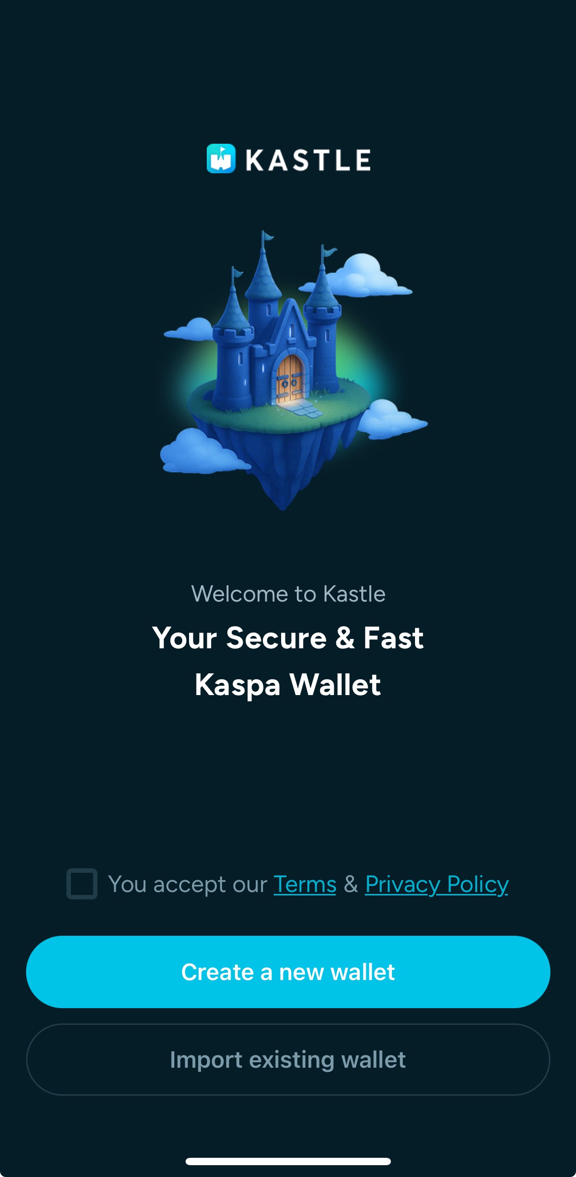 The wallet setup screen shows an Accept Terms checkbox and the Create a new wallet button. The user checks the box and starts a new wallet.
