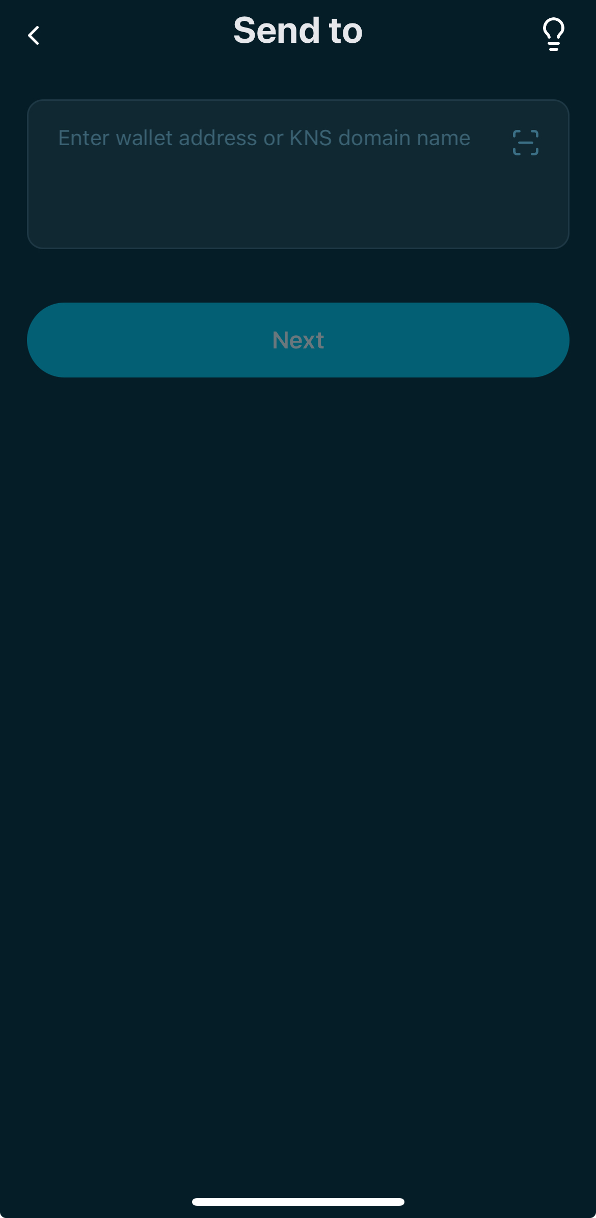 The recipient address field is active with Next enabled. The user pastes or scans the destination address.