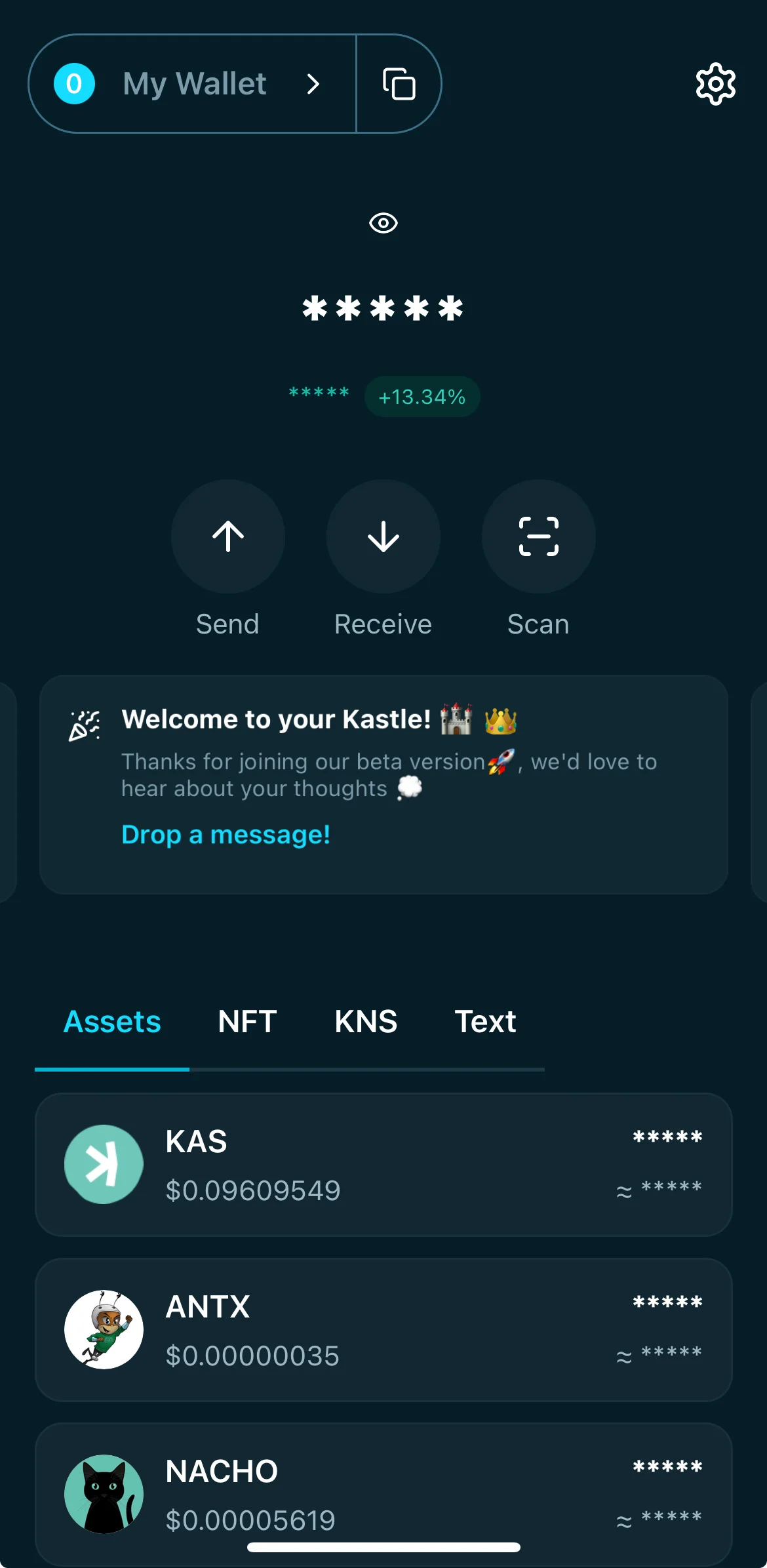 The portfolio dashboard shows tabs for Assets, NFT, KNS, and Text with KAS and KRC20 balances visible. The user reviews holdings.