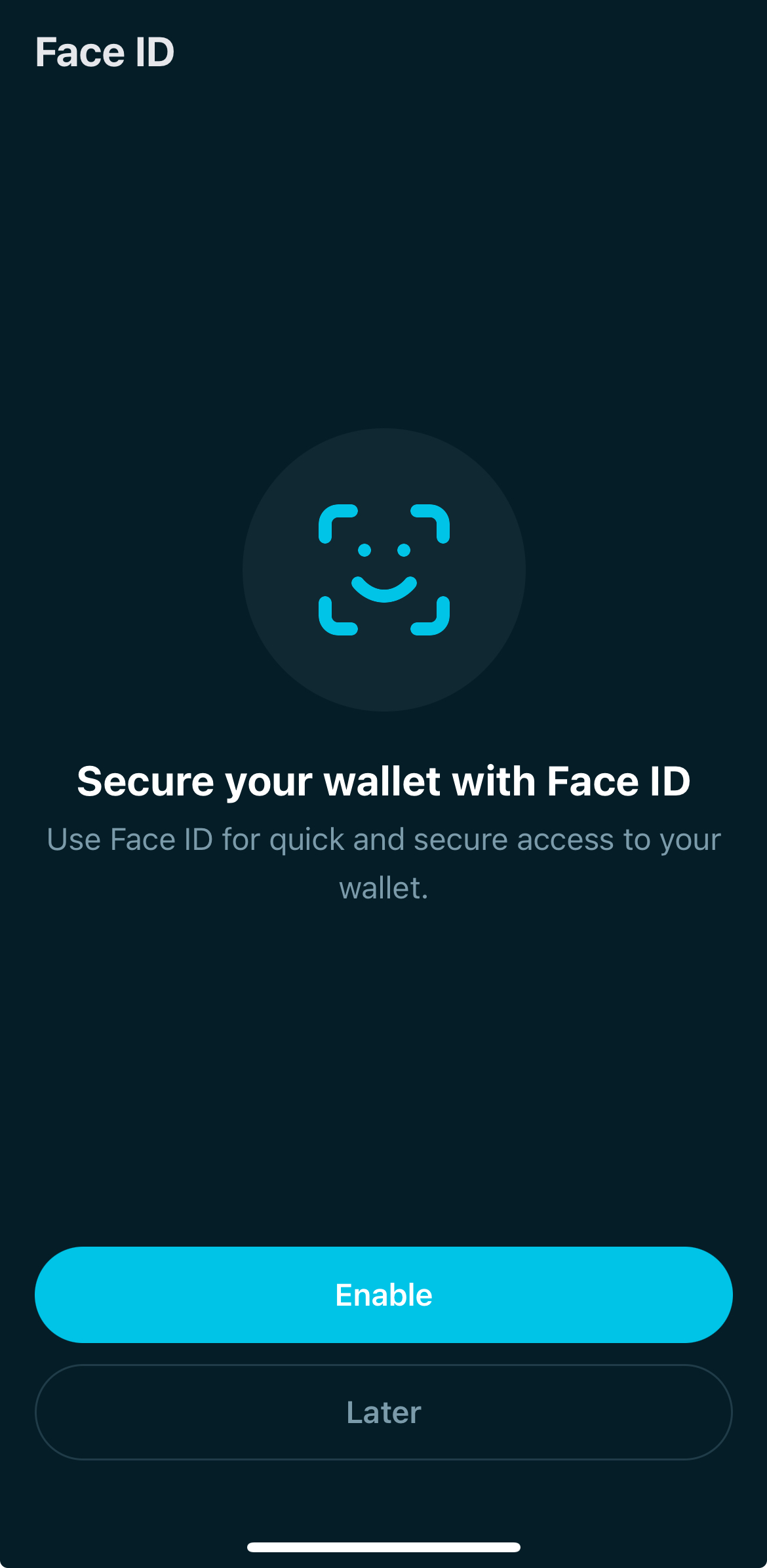 The biometric setup screen shows options to enable or skip biometric authentication. The user can turn biometrics on.